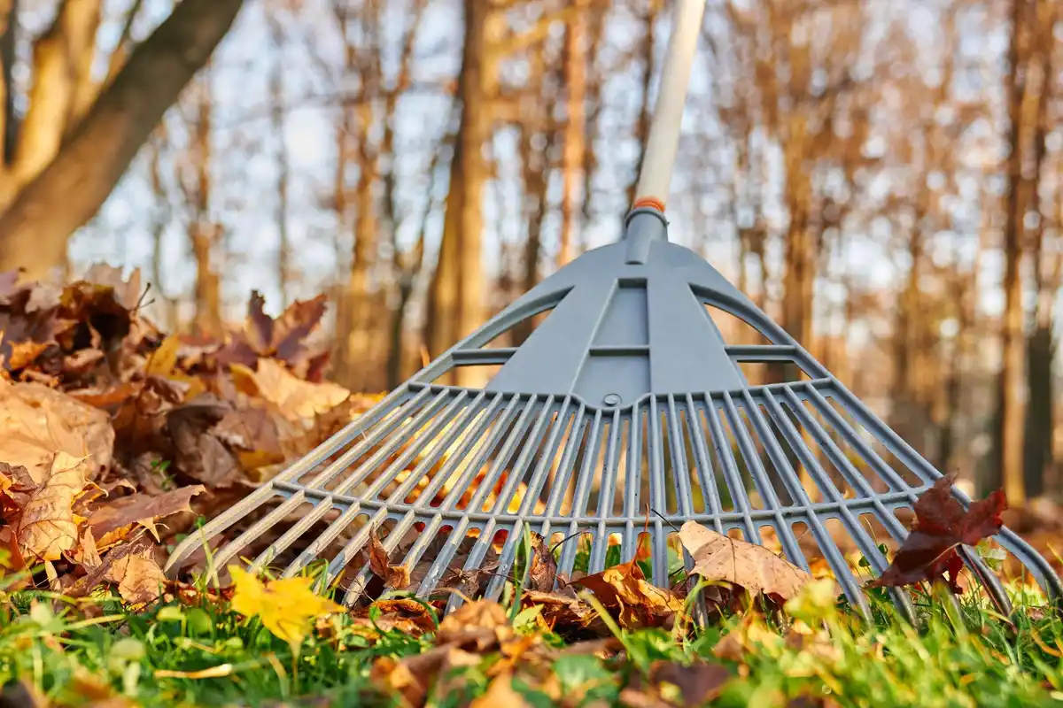 autumn lawn care czech republic