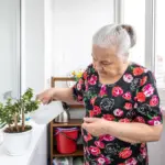 czech grandma natural pest remedy vinegar