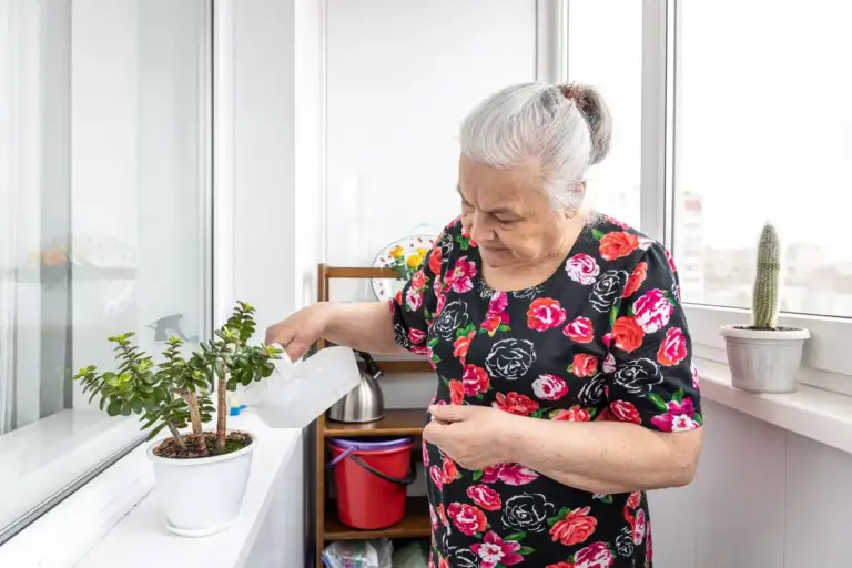 czech grandma natural pest remedy vinegar