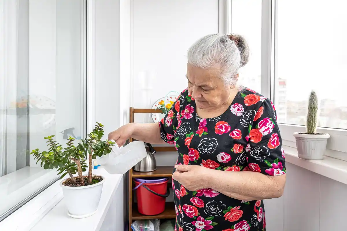 czech grandma natural pest remedy vinegar