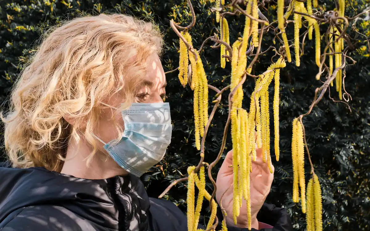 traditional czech pantry grandma using natural remedies against pests