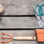 old socks gardening creative uses