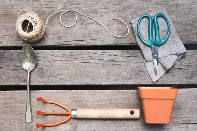 old socks gardening creative uses