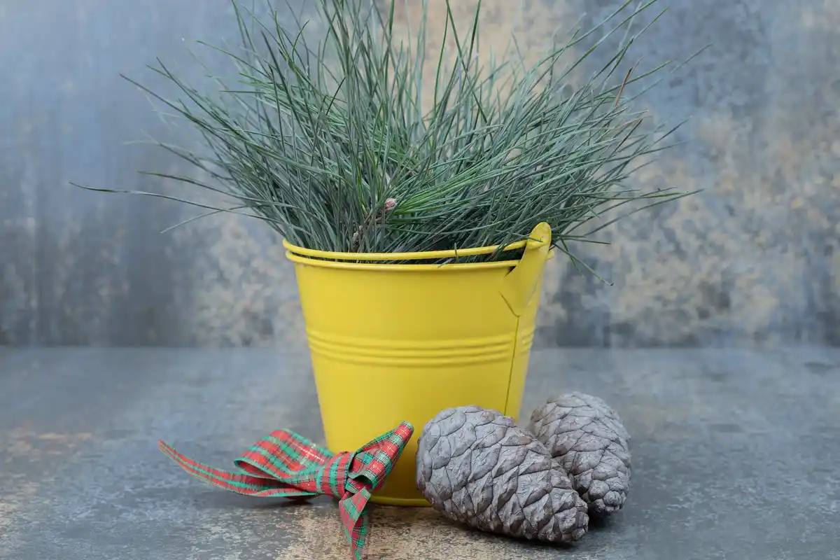 old socks in flowerpots garden hack