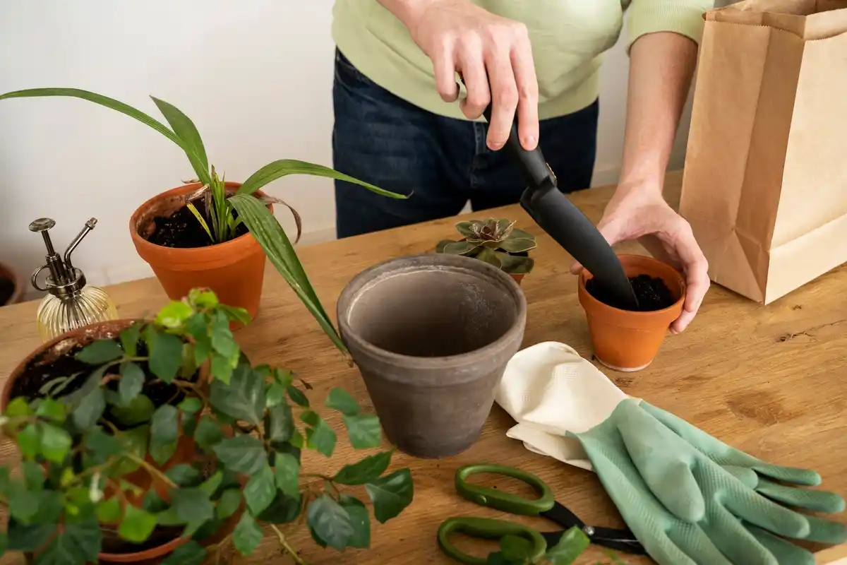 using old socks as plant support in balcony