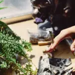 soil acidity home test czech garden