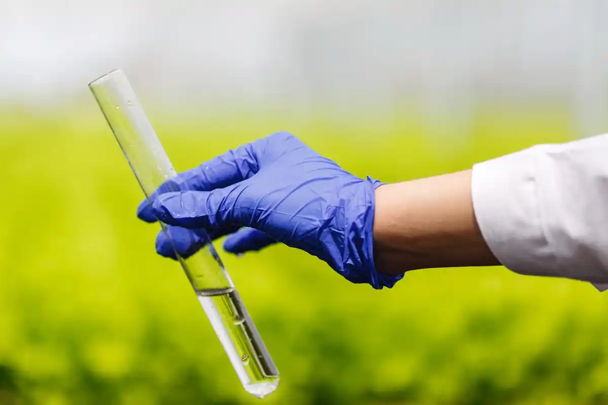 soil pH test gardening czech meadow