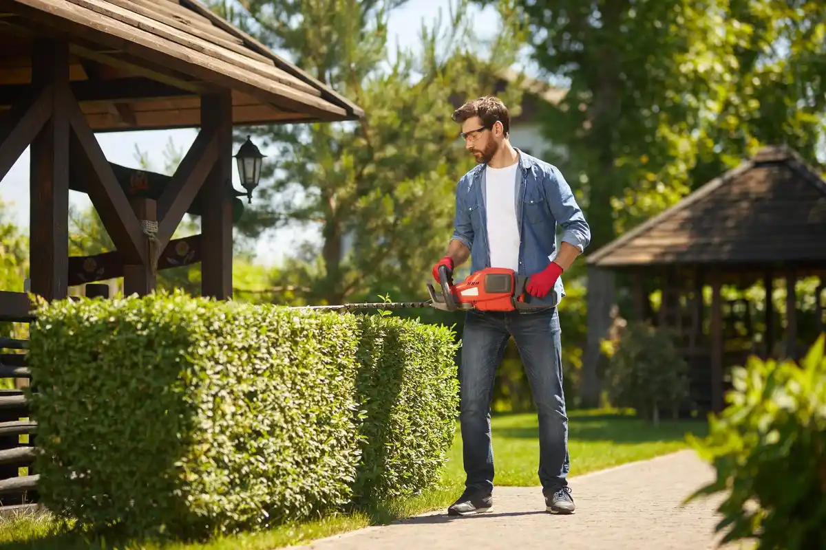 applying garden lime czech village home gardener