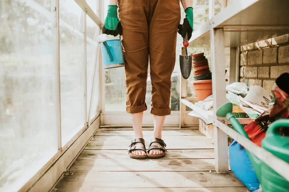 Czech greenhouse in autumn cleaning