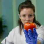 tomato plant soil pH test