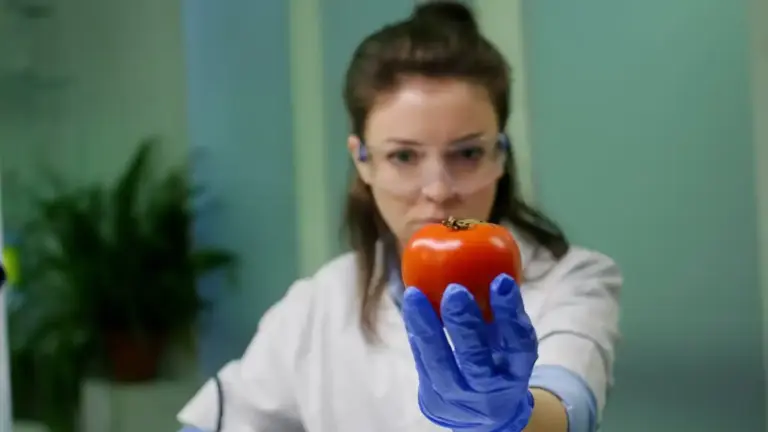 tomato plant soil pH test
