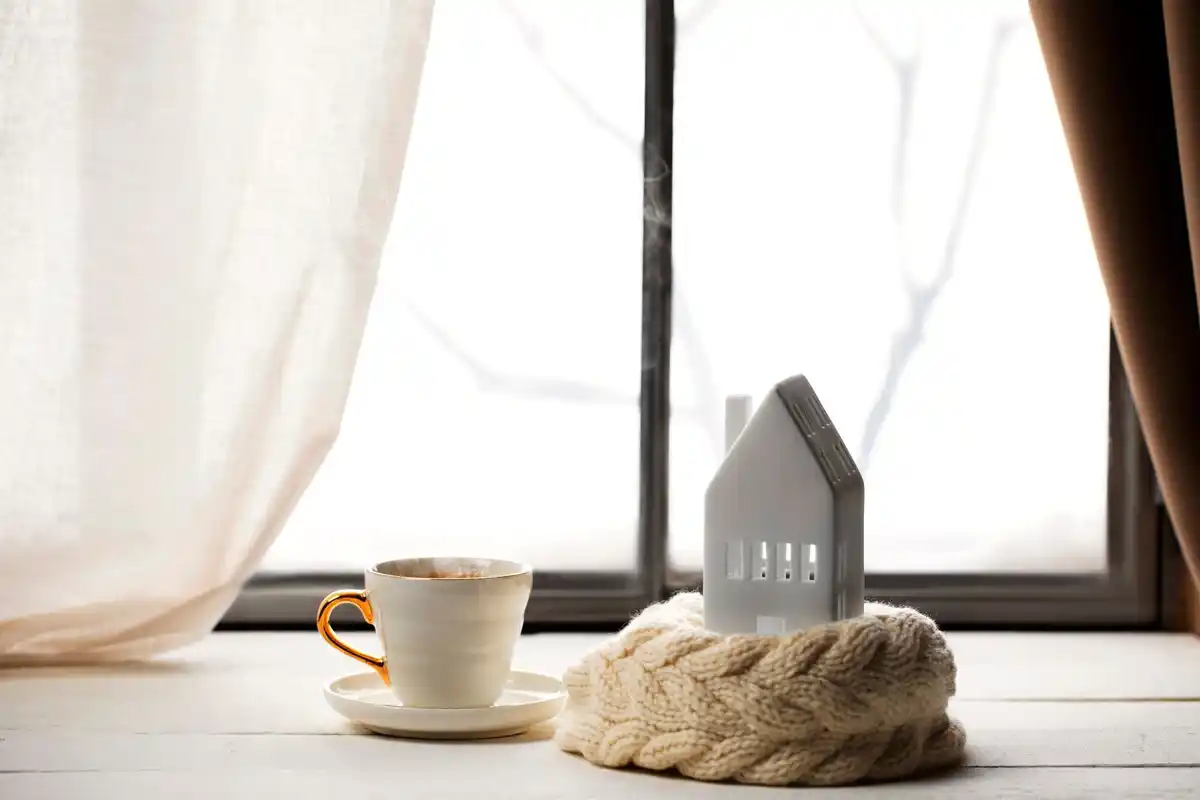 unhappy houseplant in winter on window sill