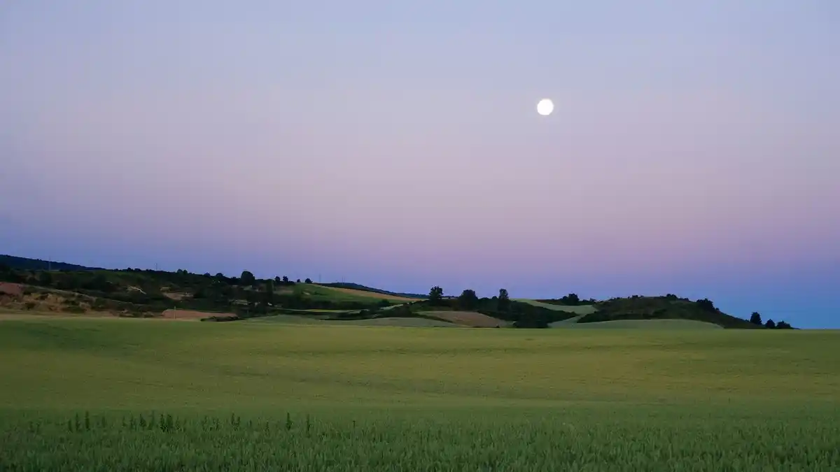 full moon over orchard in czech republic