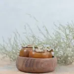 egg shells fruit tree base Czech garden