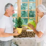 easy care indoor plants for seniors Czech home