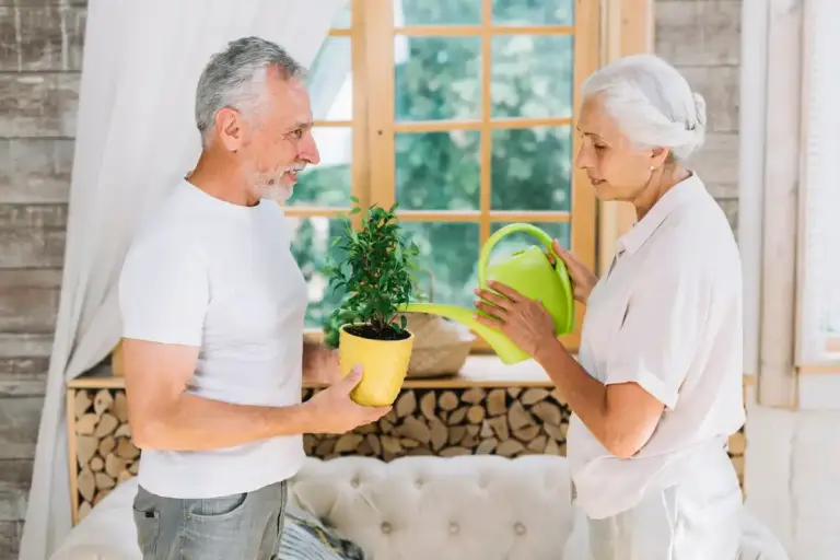 easy care indoor plants for seniors Czech home