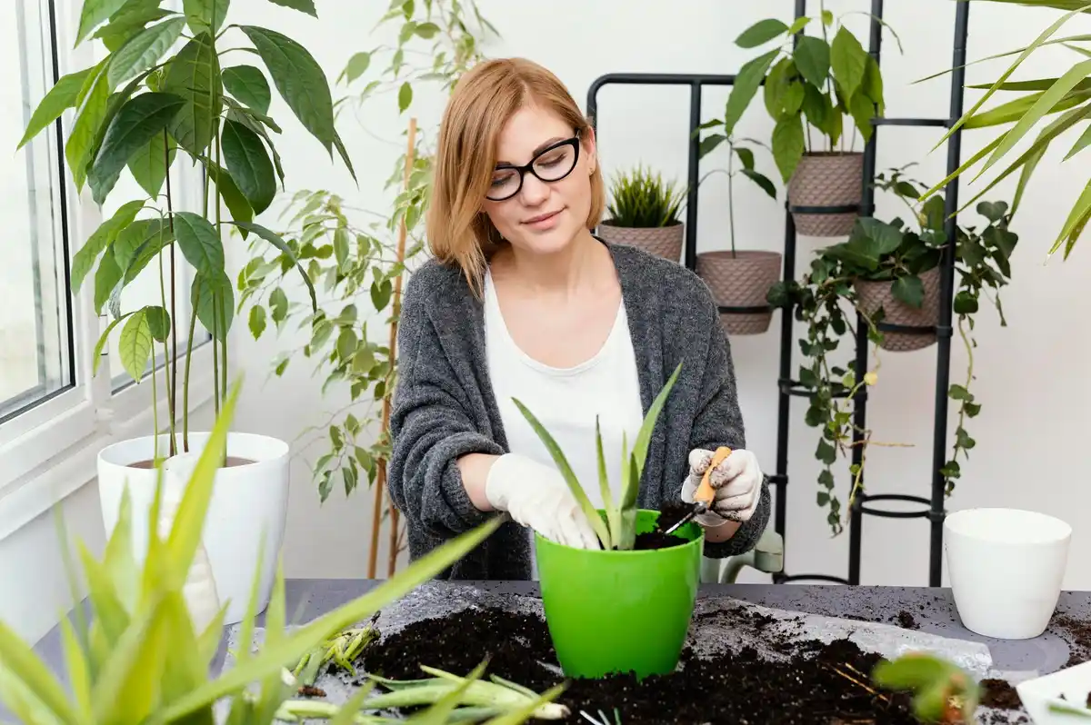 indoor plants in senior home Czech