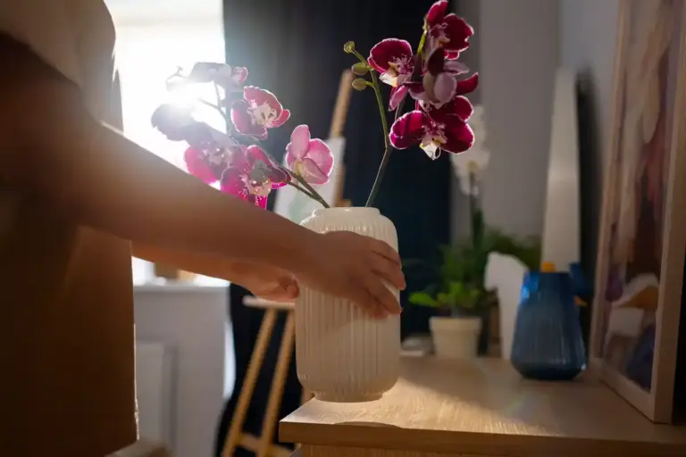 orchid bedroom sleep problem