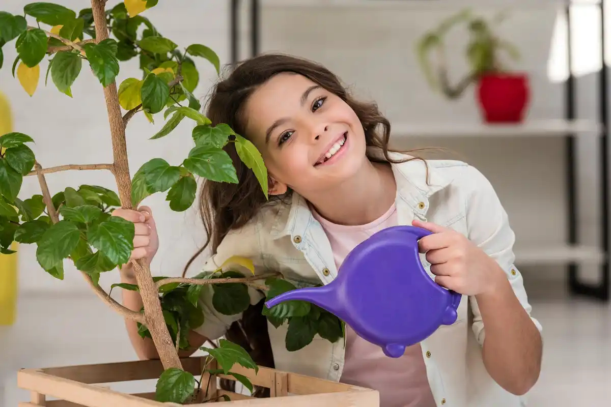 dangerous house plants children czech home