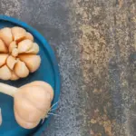 garlic protecting tomatoes disease prevention garden
