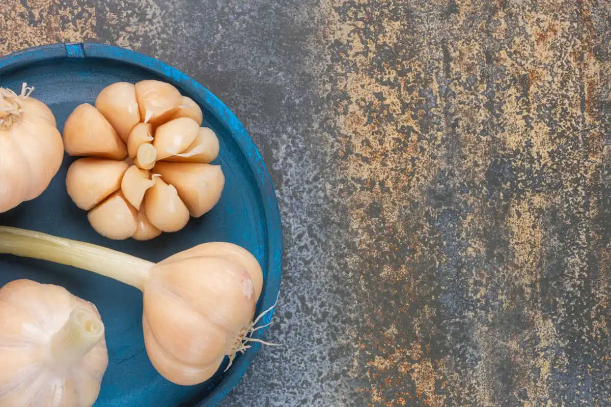 garlic protecting tomatoes disease prevention garden