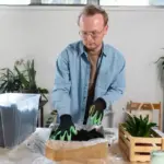 plant propagation hydroponics modern Czech home