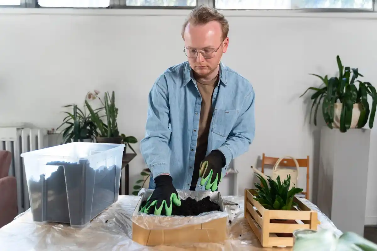 plant propagation hydroponics modern Czech home
