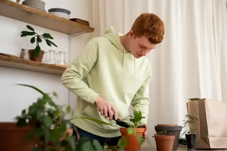 pouring potato water onto indoor plants