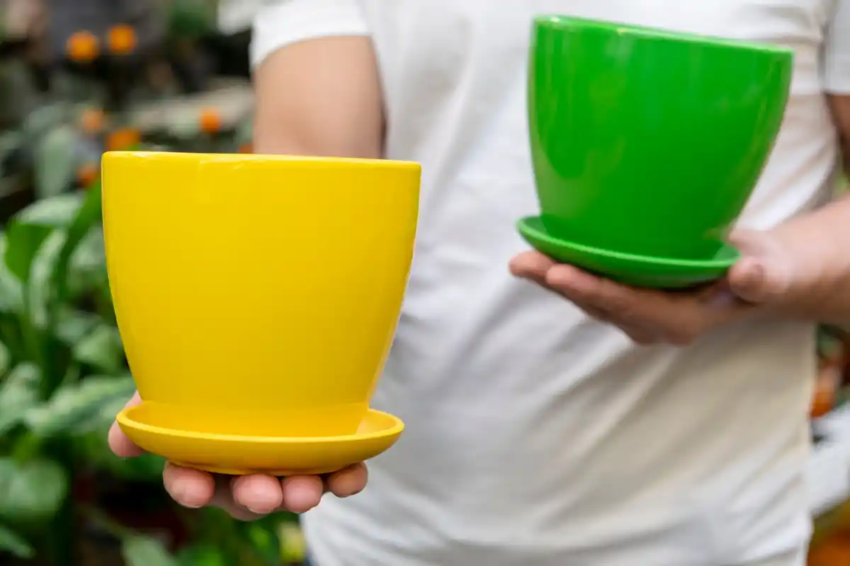 pouring potato water into houseplant pot
