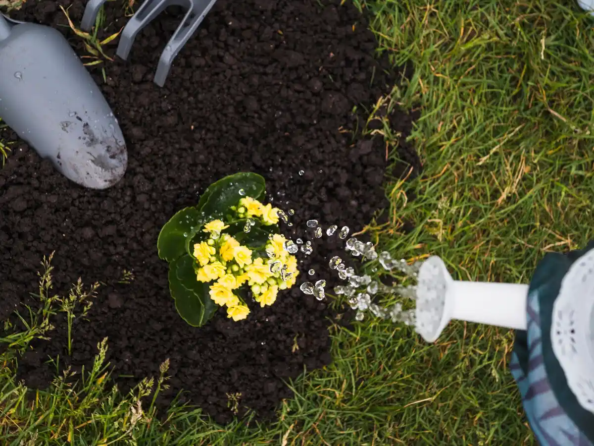 automatic garden watering system czech garden