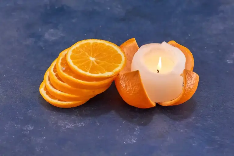 orange peel home pest repellent Czech apartment