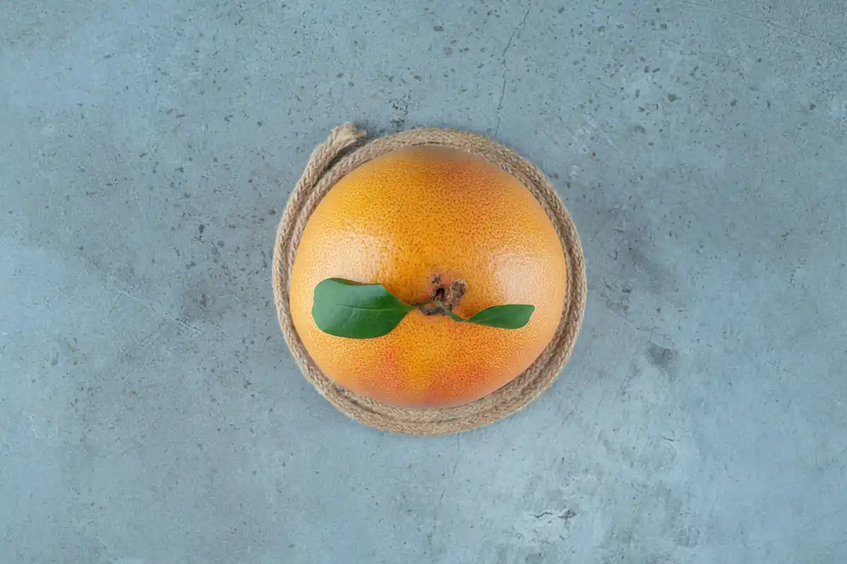 orange peel in garden pest control czech backyard