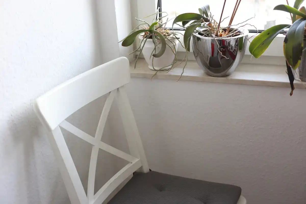 houseplants bad location feng shui window