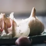 organic garlic and nettle homemade pesticide gardening Czech Republic