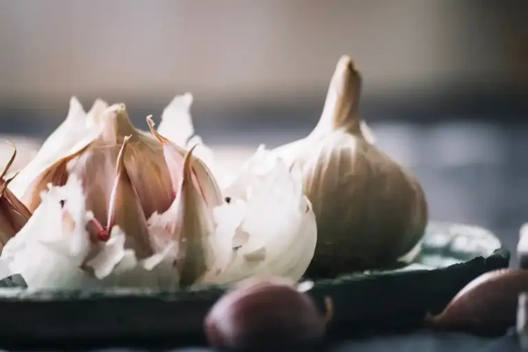 organic garlic and nettle homemade pesticide gardening Czech Republic