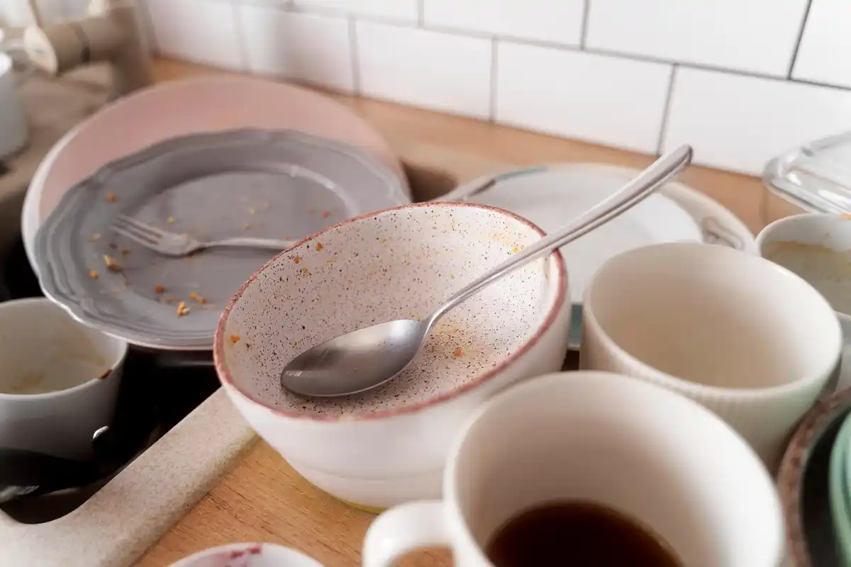 used coffee grounds kitchen mold prevention