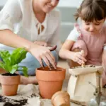 child safe indoor plants home czech family