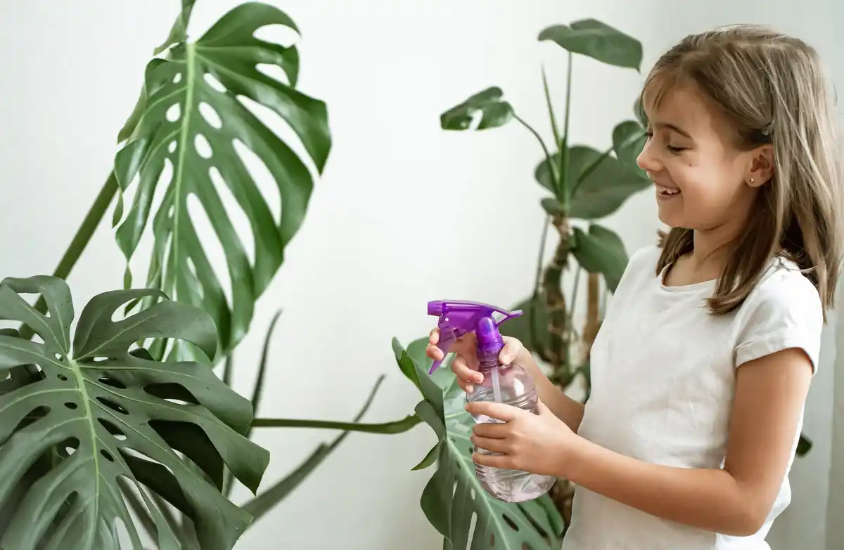 child touching indoor plant poisonous danger