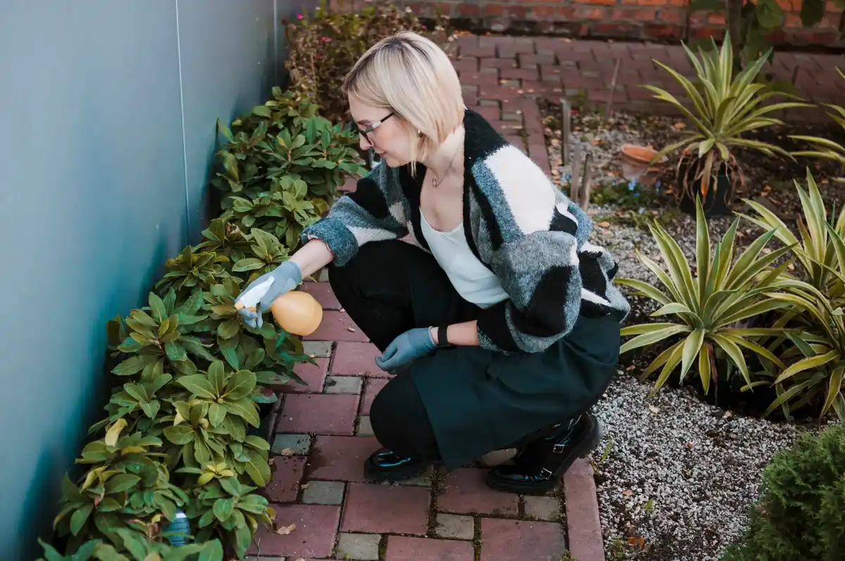 coffee grounds fertilizer Czech garden lawn