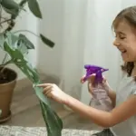 coffee grounds pest control aphid garden natural home remedy