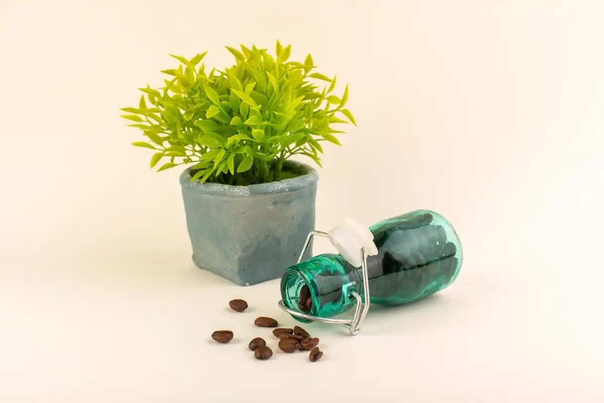 coffee grounds on garden soil aphid control natural remedy