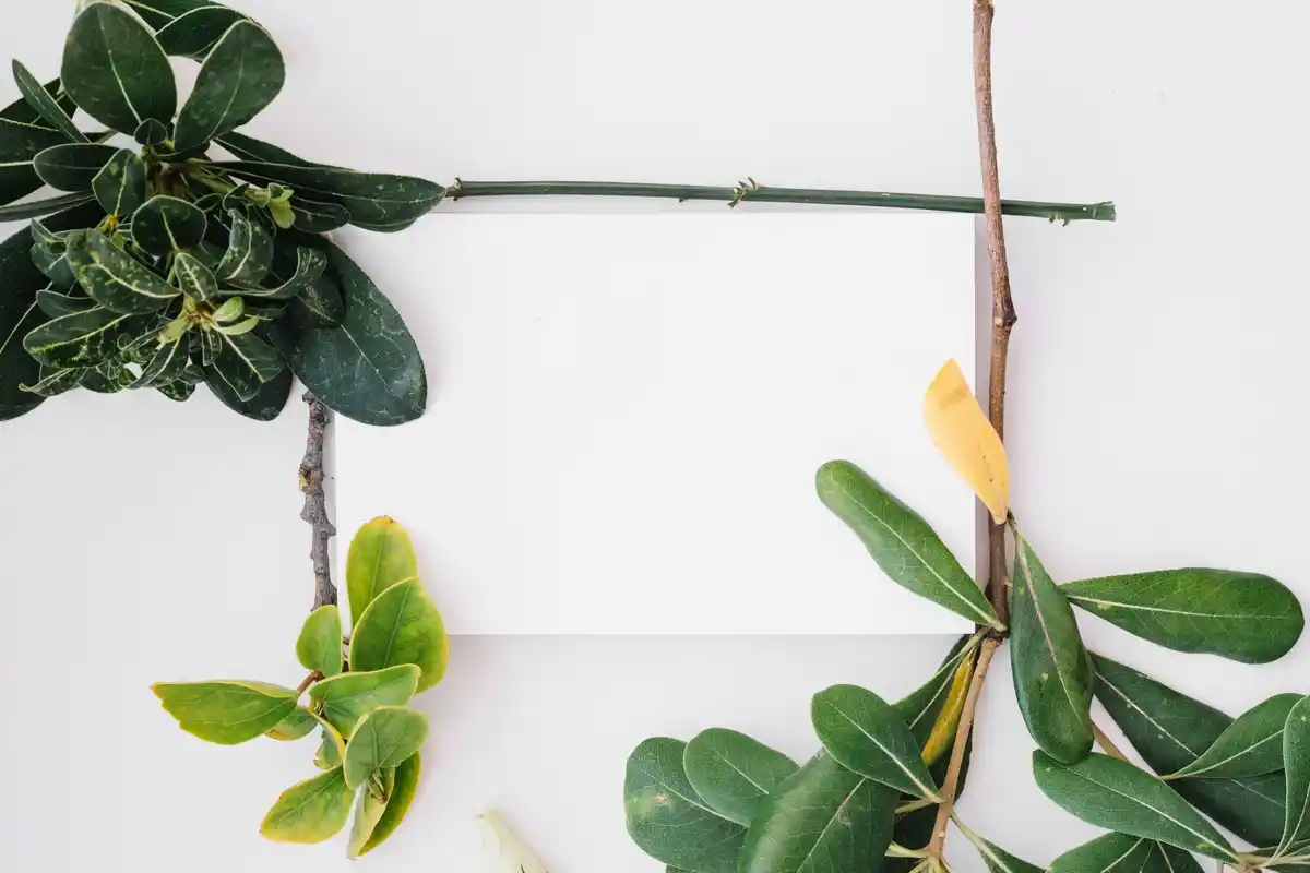 diy garden border from tree branches
