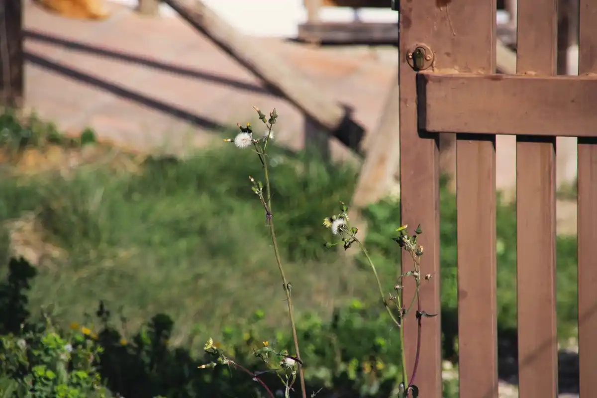 diy garden fence from branches