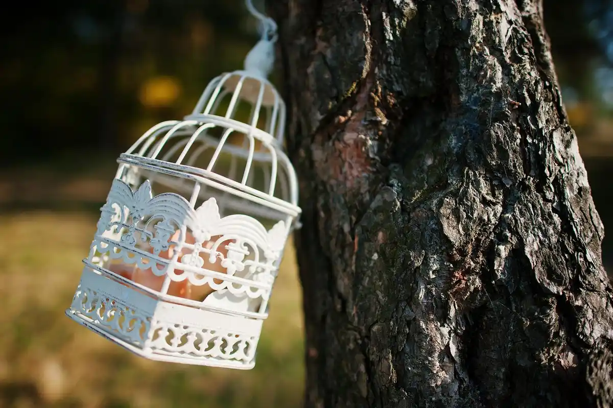 diy insect hotel from tree branches