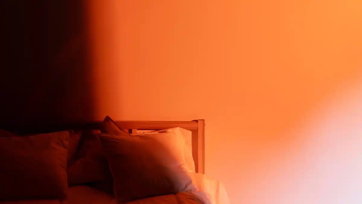 bedroom interior no houseplants night