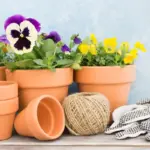 vintage ceramic flower pot czech home garden
