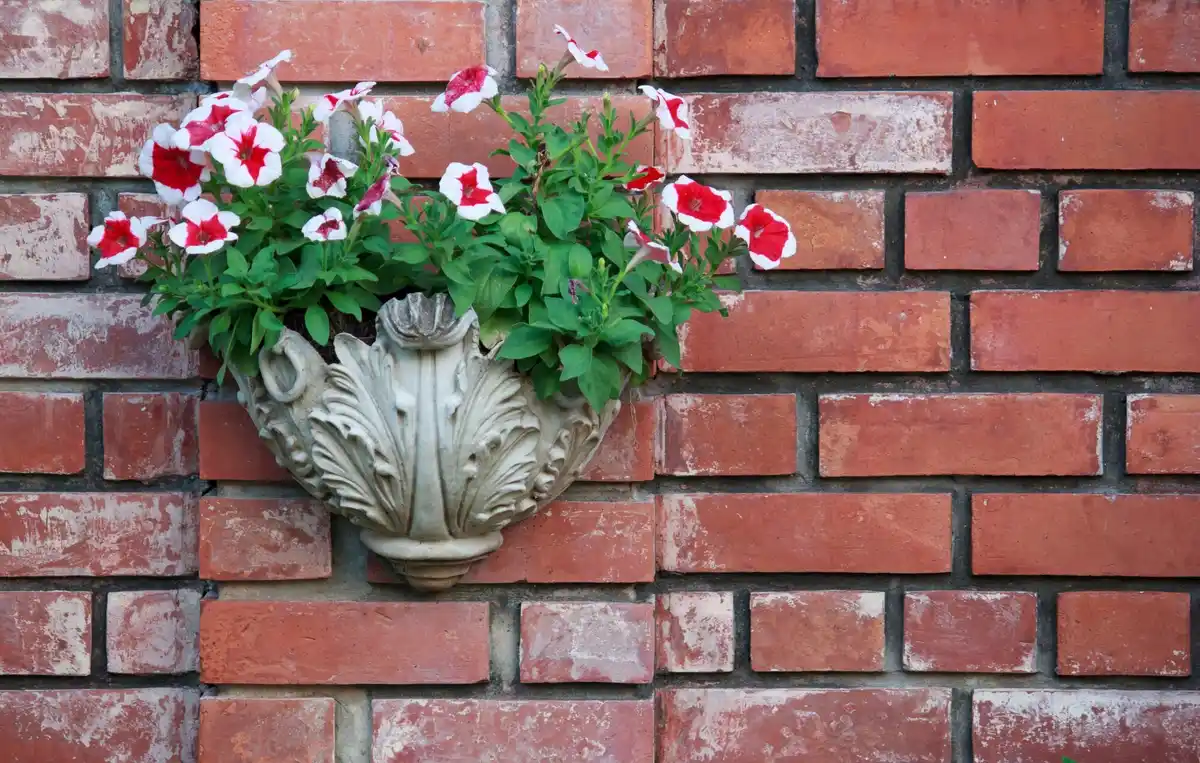 handmade clay flower pot on window sill czech