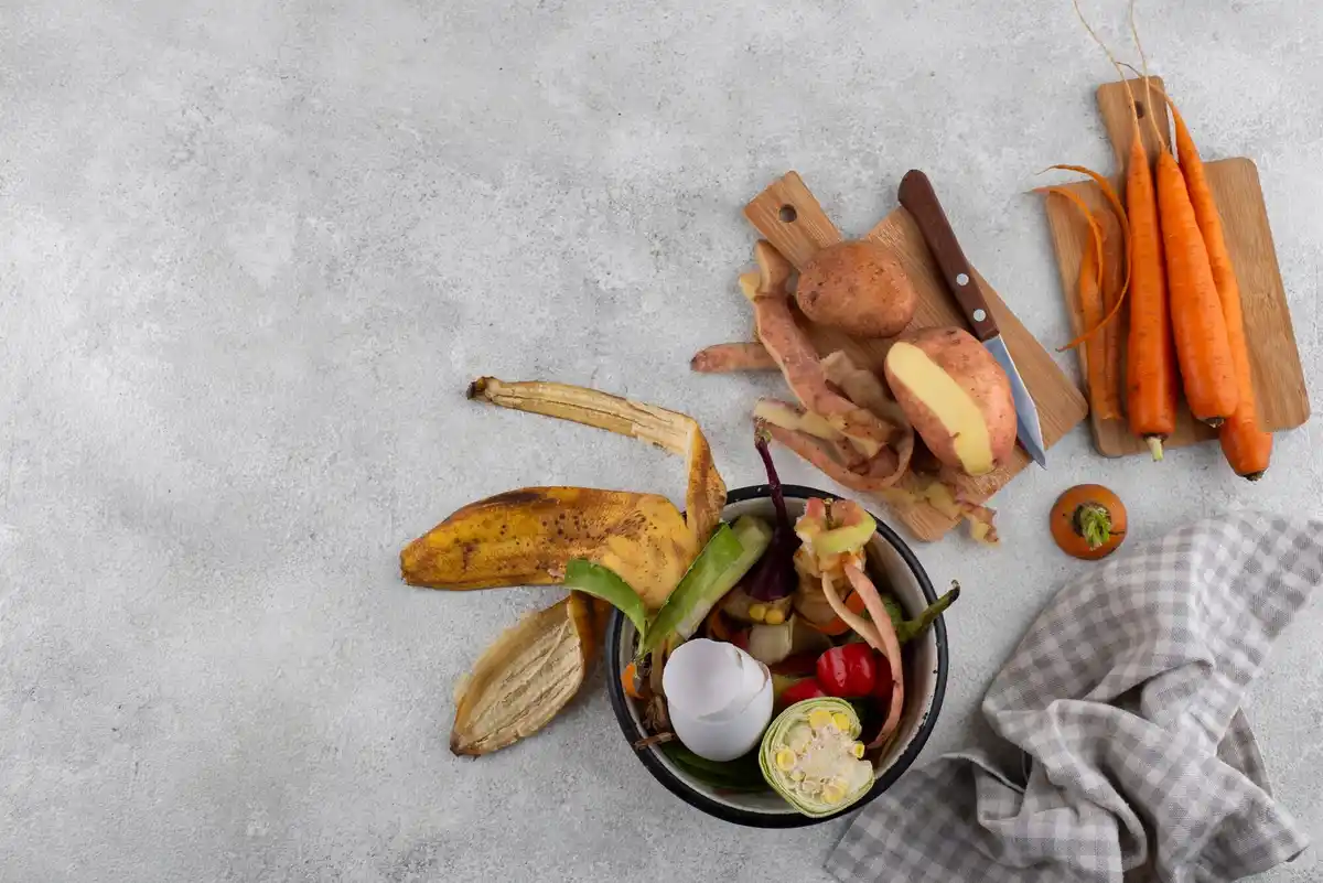 natural slug control using kitchen waste