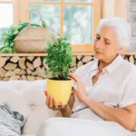elderly people with easy houseplants in Czech apartment