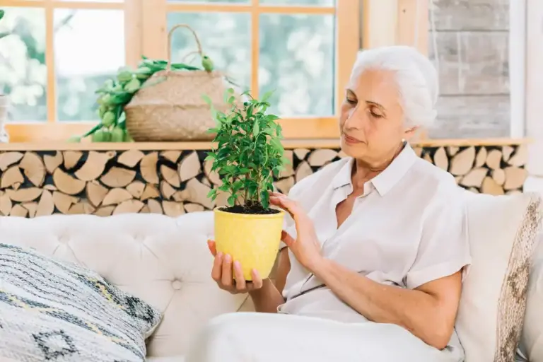 elderly people with easy houseplants in Czech apartment